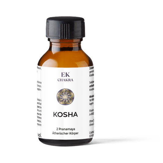 Kosha 2 — Pranischer Körper