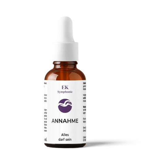 Annahme